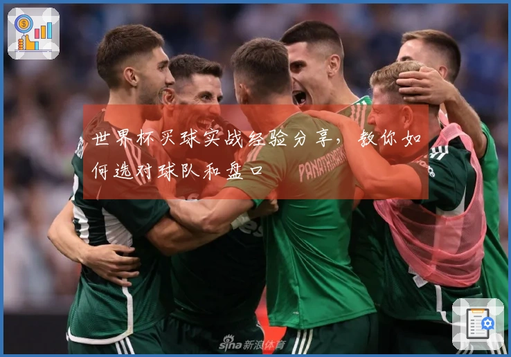 世界杯买球实战经验分享，教你如何选对球队和盘口