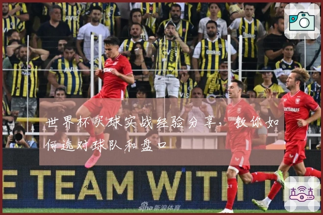 世界杯买球实战经验分享，教你如何选对球队和盘口