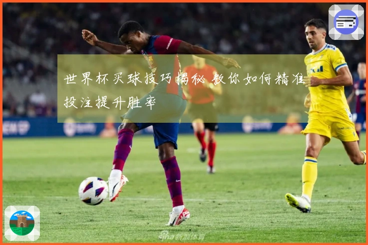 世界杯买球技巧揭秘 教你如何精准投注提升胜率