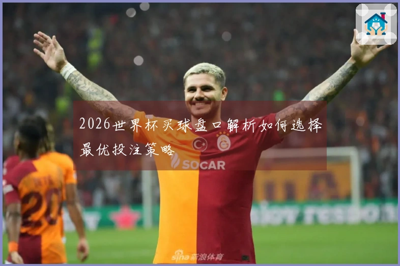 2026世界杯买球盘口解析如何选择最优投注策略